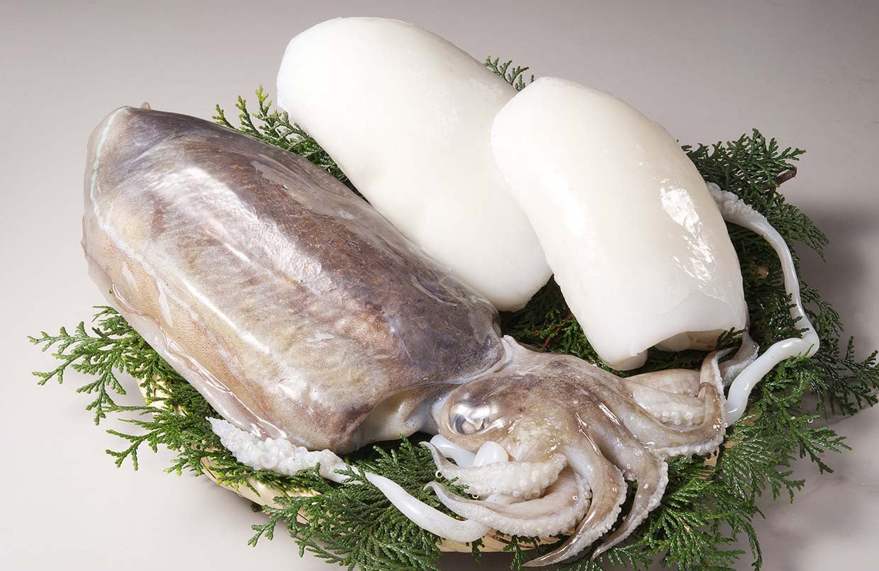 Mongo cuttlefish Sashimi  　刺身用モンゴウイカ