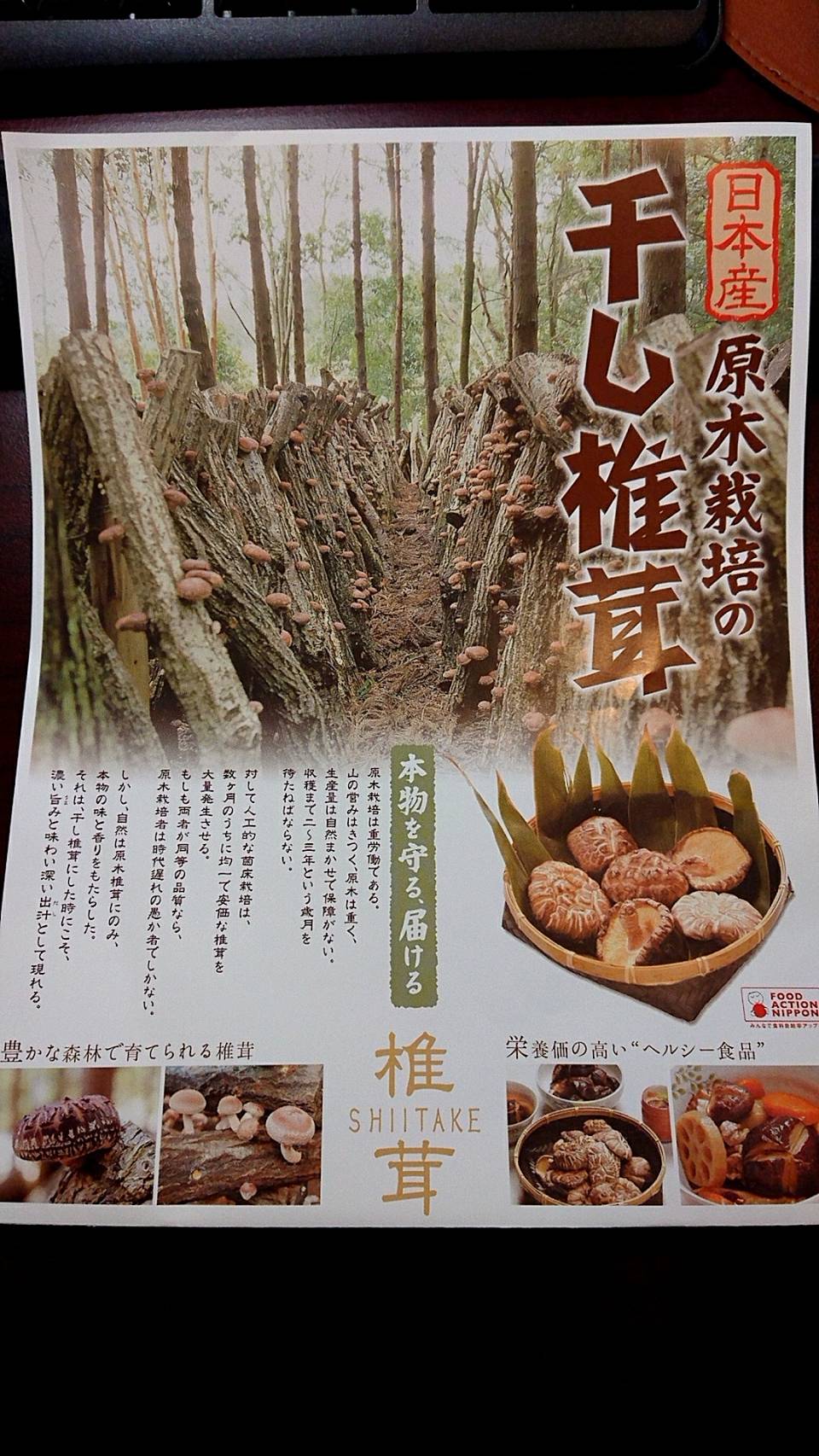 Wild dried shiitake mashroom  原木栽培！天然の干椎茸