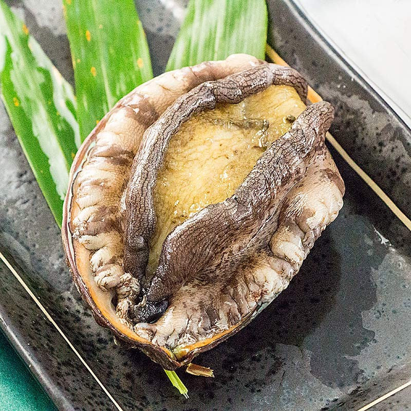 Live fresh Hokkaido Wild Abalone - 活鮮天然アワビ