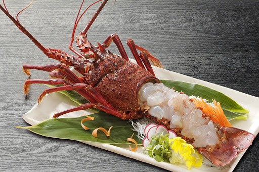 Live fresh Sashimi Grade Ise-ebi (Spiny Lobster) & Japanese Citrus Set - 刺身品質・活鮮イセエビと酢橘セット