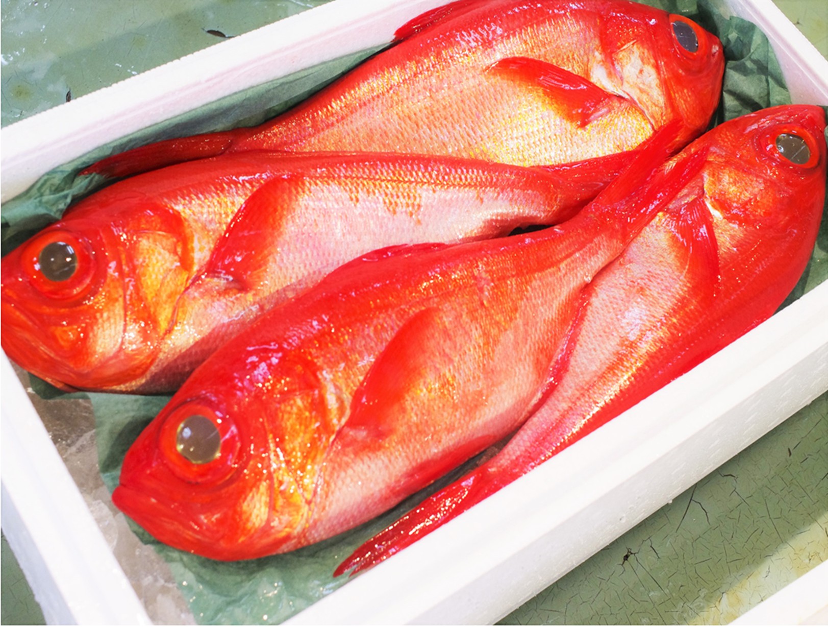 Kinmedai Himono Grilled Fish + Sudachi Citrus Set - 定番人気！リピーター続出の金目ダイ干物+香り豊かな酢橘セット