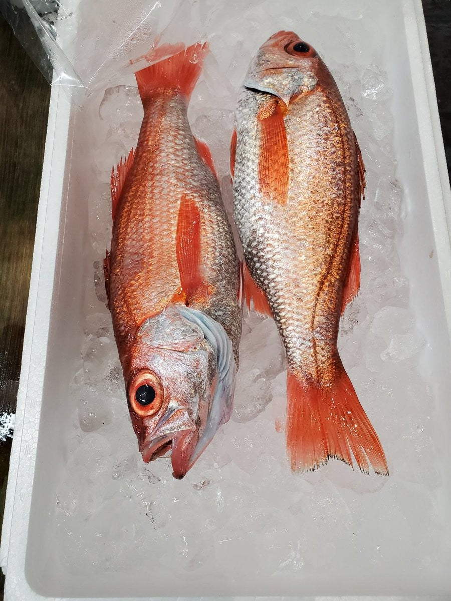 Never forget! Dried Aka-mutu (Nodo-guro)+ Sudachi Citrus Set 　食べたら忘れられない！ 赤ムツ(ノドグロ)干物+香り豊かな酢橘セット