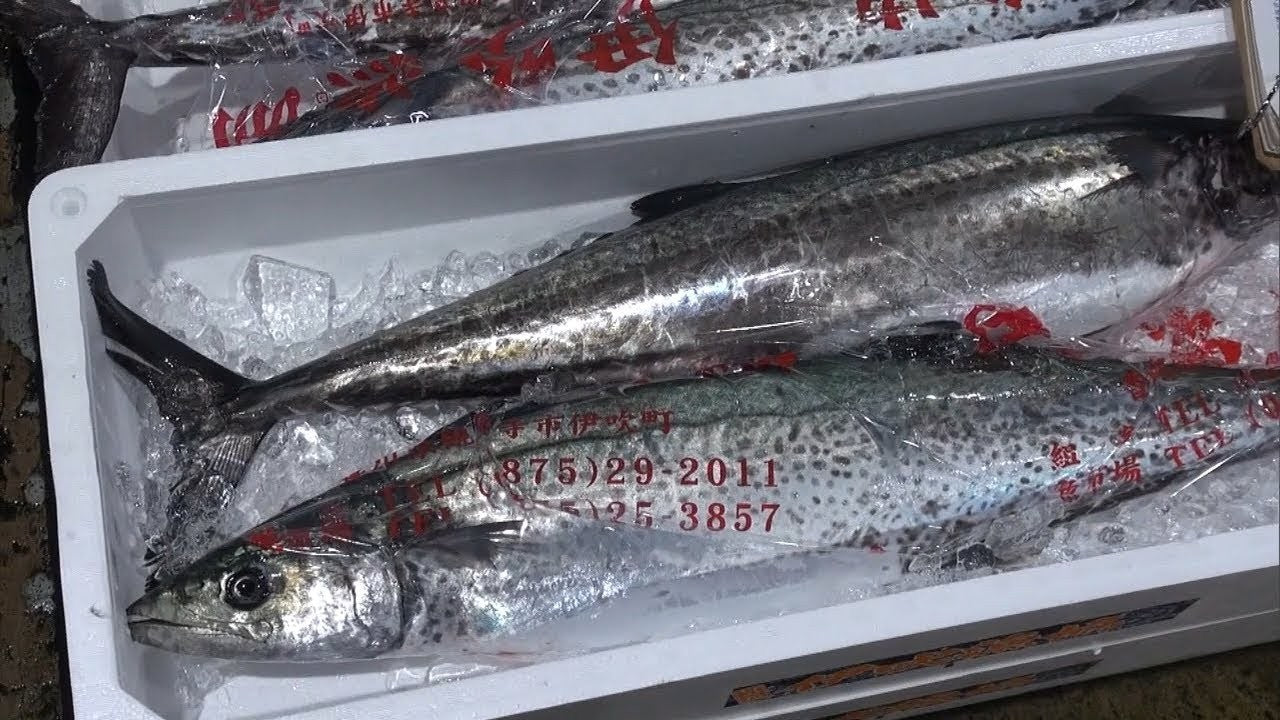 【Made to Order】Fresh Japanese Whole Fish Special - 日本産スペシャル鮮魚オーダーメイド