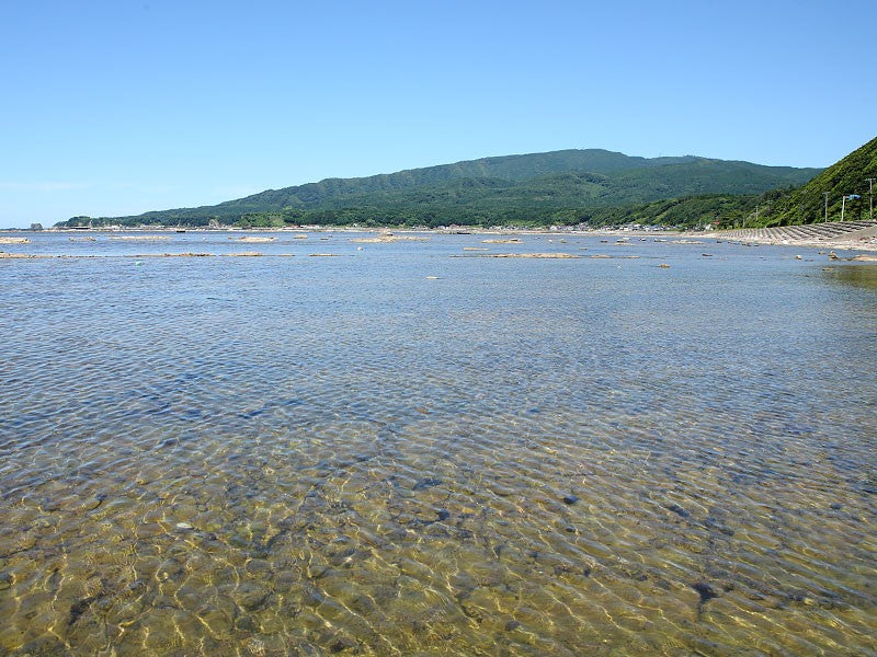 Dried Konbu　天然・完全無添加の乾燥コンブ