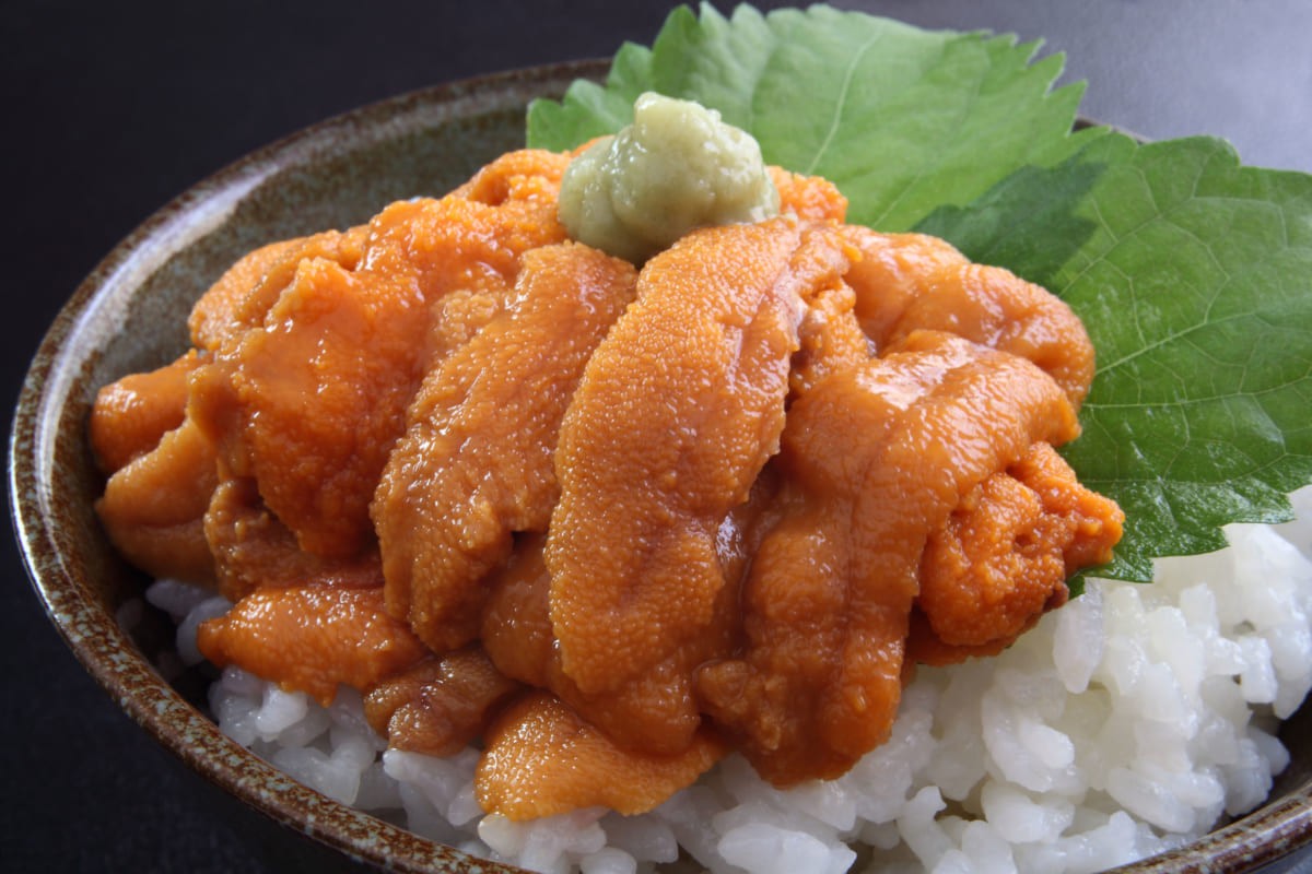 Uni for sashimi　価格優先！生食用ウニ！パスタにも最適
