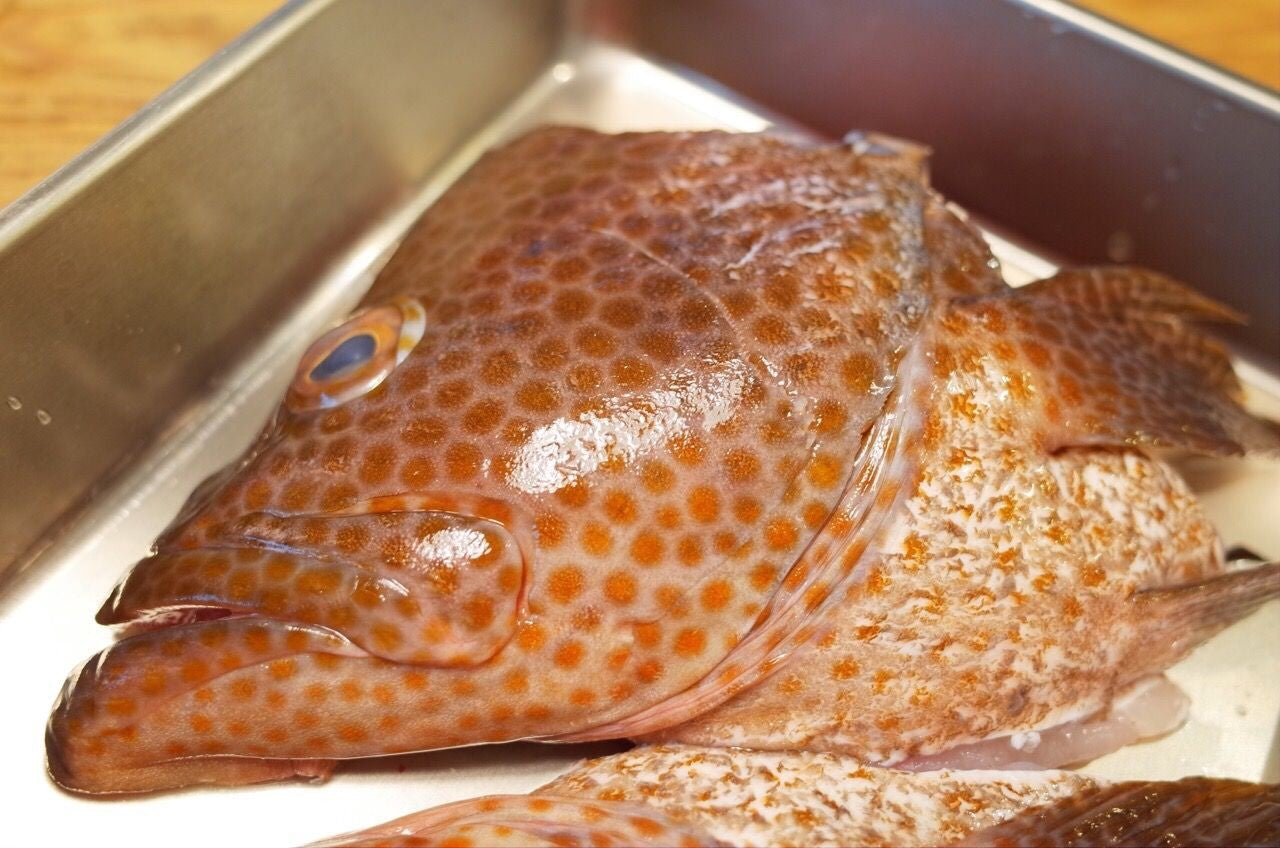 Fresh fish Head for Dashi　最高のお出汁！ 無添加のお頭