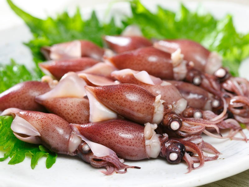 Boiled Hotaru-ika (Firefly squid)  郷土愛！釜茹でホタルイカ